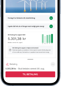Eksempel på betaling